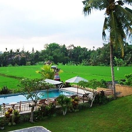 Nyoman Karsa Bungalow Ubud Dış mekan fotoğraf